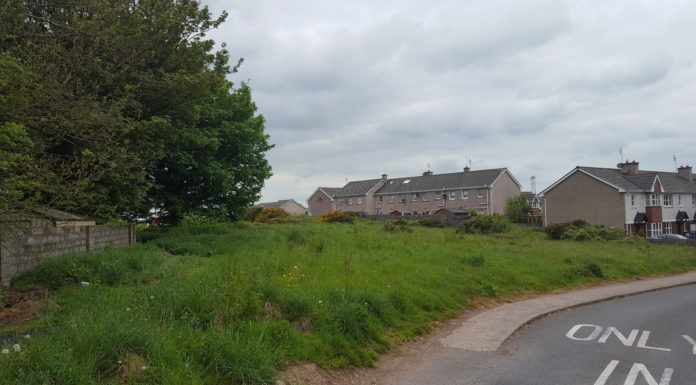 Planning permission granted for 10-house estate in Watergrasshill
